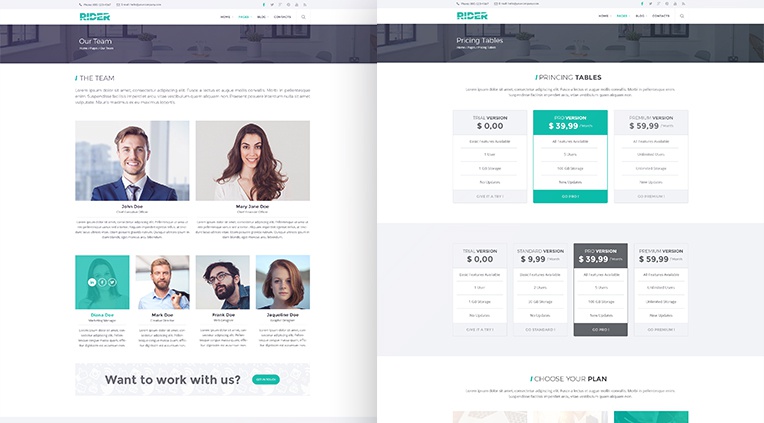Rider - team page, pricing tables page and much more